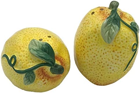 Certified International Citric Lemon Ceramic Salt Pepper Set 1