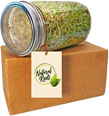 NATURAL ROOTS Sprouting Jar with Screen Lid - 316 Stainless Steel 1