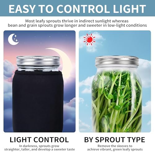EKPYUB Upgrade Sprouting Jar Kit 2Pcs with Lids and Stand
