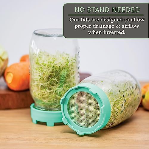 Elementi Sprouting Lids for Mason Jars Set of 2