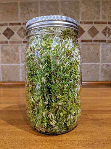 NATURAL ROOTS Sprouting Jar with Screen Lid - 316 Stainless Steel 1