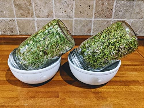 NATURAL ROOTS Sprouting Jar with Screen Lid - 316 Stainless Steel 1