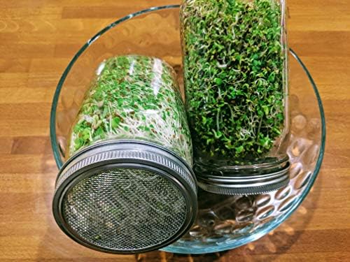 NATURAL ROOTS Sprouting Jar with Screen Lid - 316 Stainless Steel 1