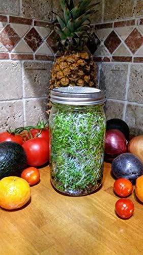 NATURAL ROOTS Sprouting Jar with Screen Lid - 316 Stainless Steel 1