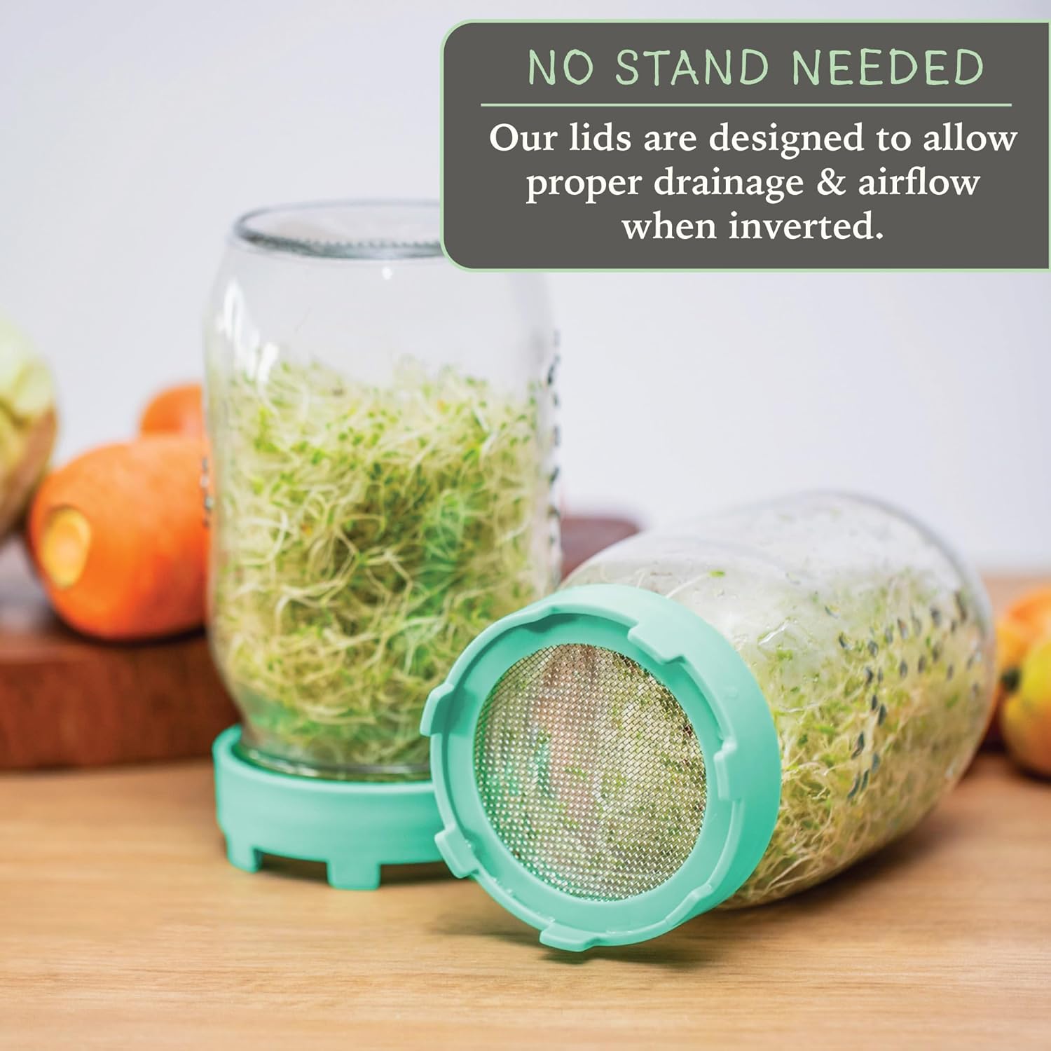 Elementi Sprouting Lids for Mason Jars Set of 2