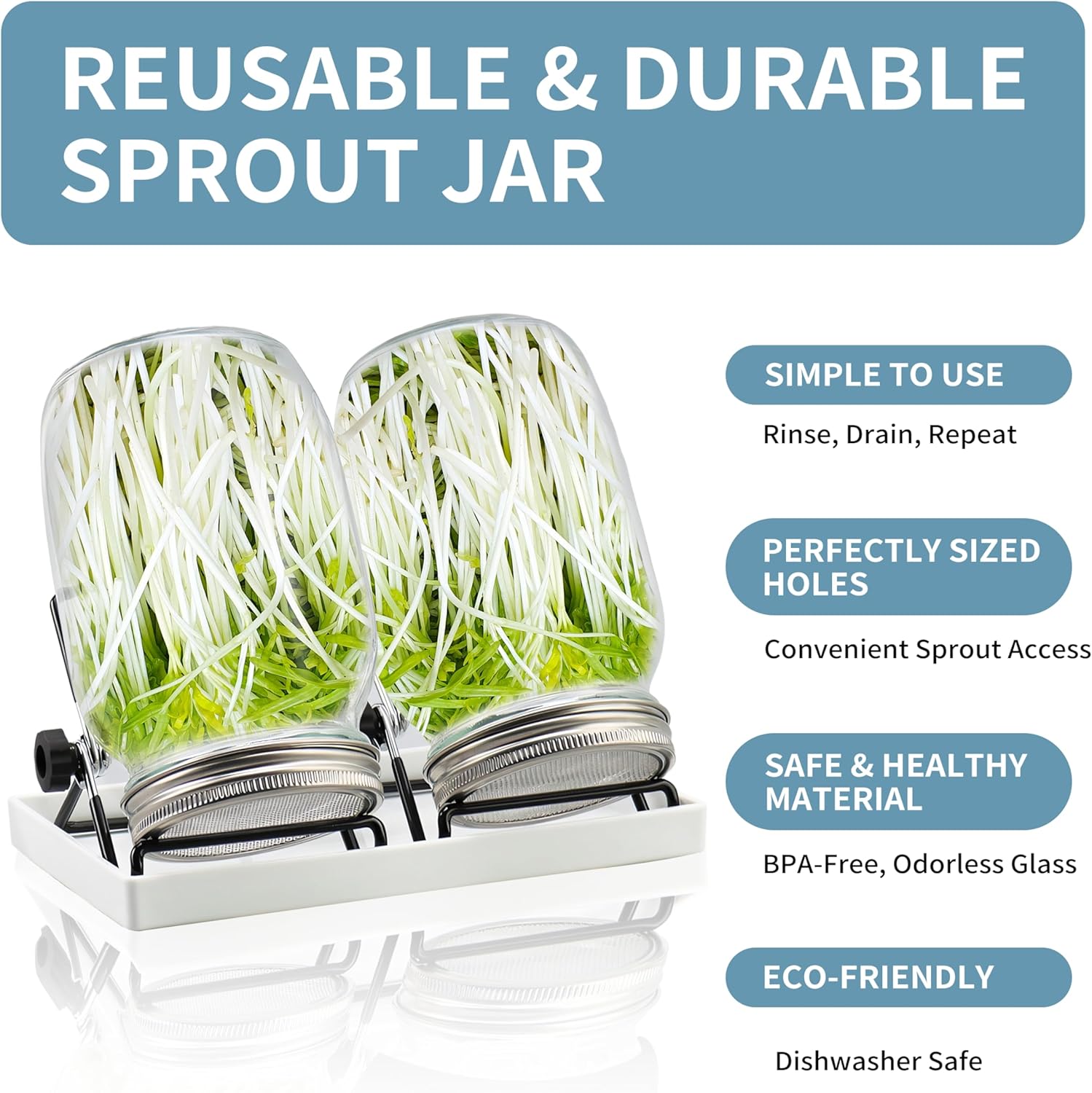 EKPYUB Upgrade Sprouting Jar Kit 2Pcs with Lids and Stand