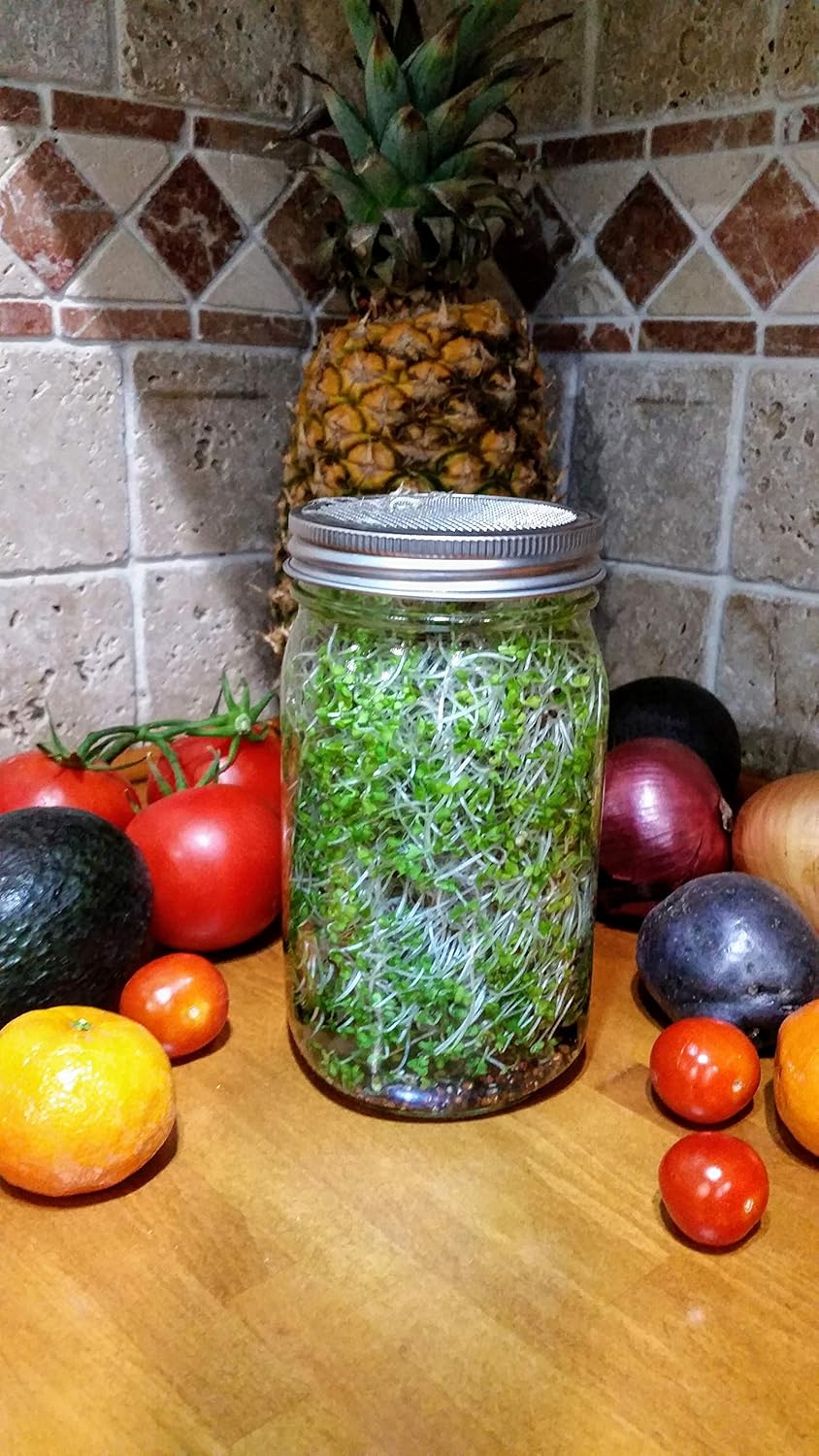 NATURAL ROOTS Sprouting Jar with Screen Lid - 316 Stainless Steel 1