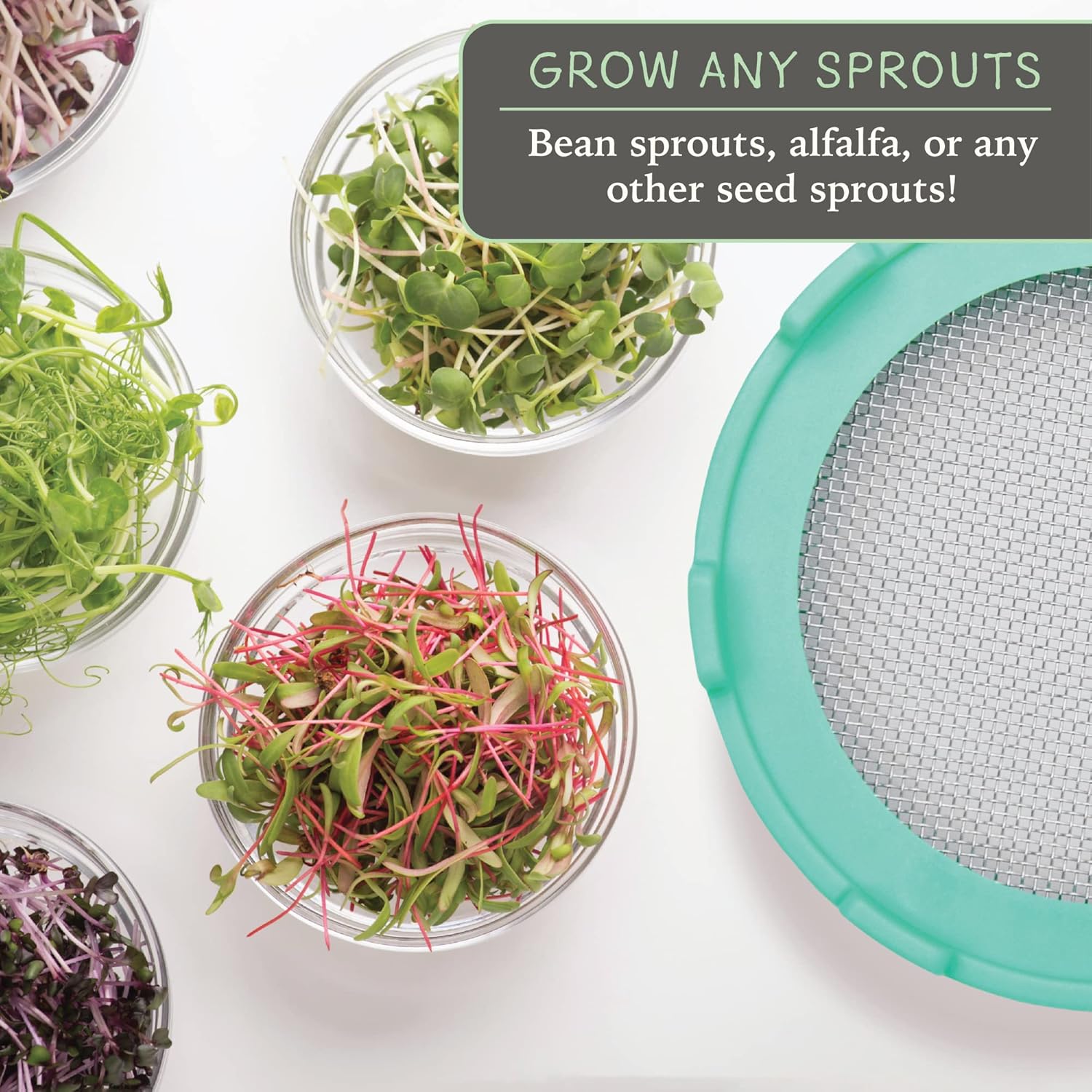 Elementi Sprouting Lids for Mason Jars Set of 2