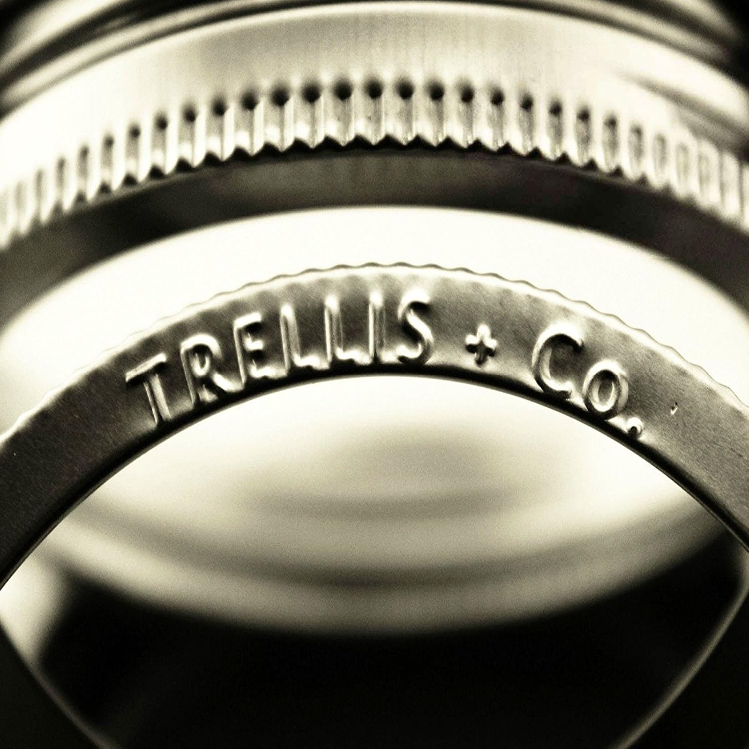 Trellis Co Stamped Stainless Steel Canning Jar Bands 6 Pack