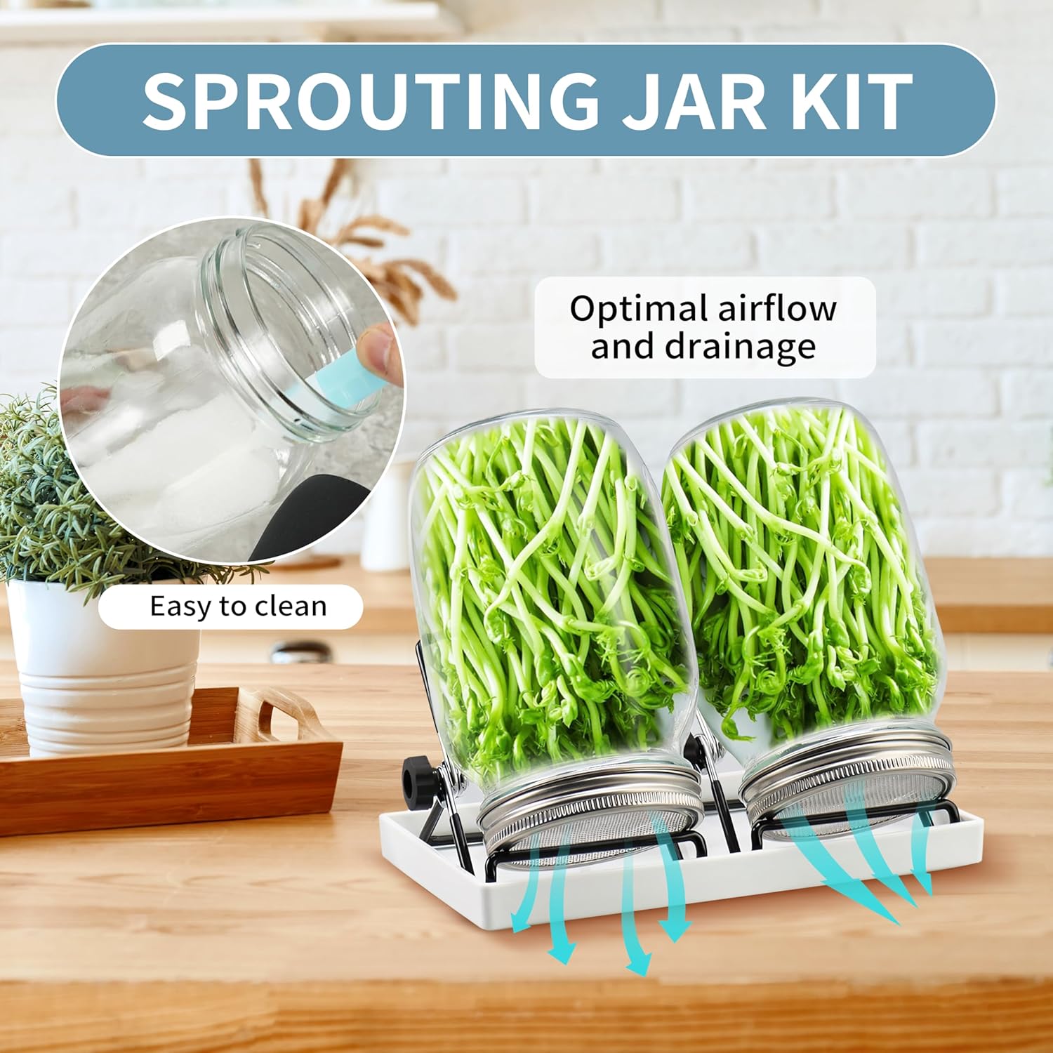EKPYUB Upgrade Sprouting Jar Kit 2Pcs with Lids and Stand