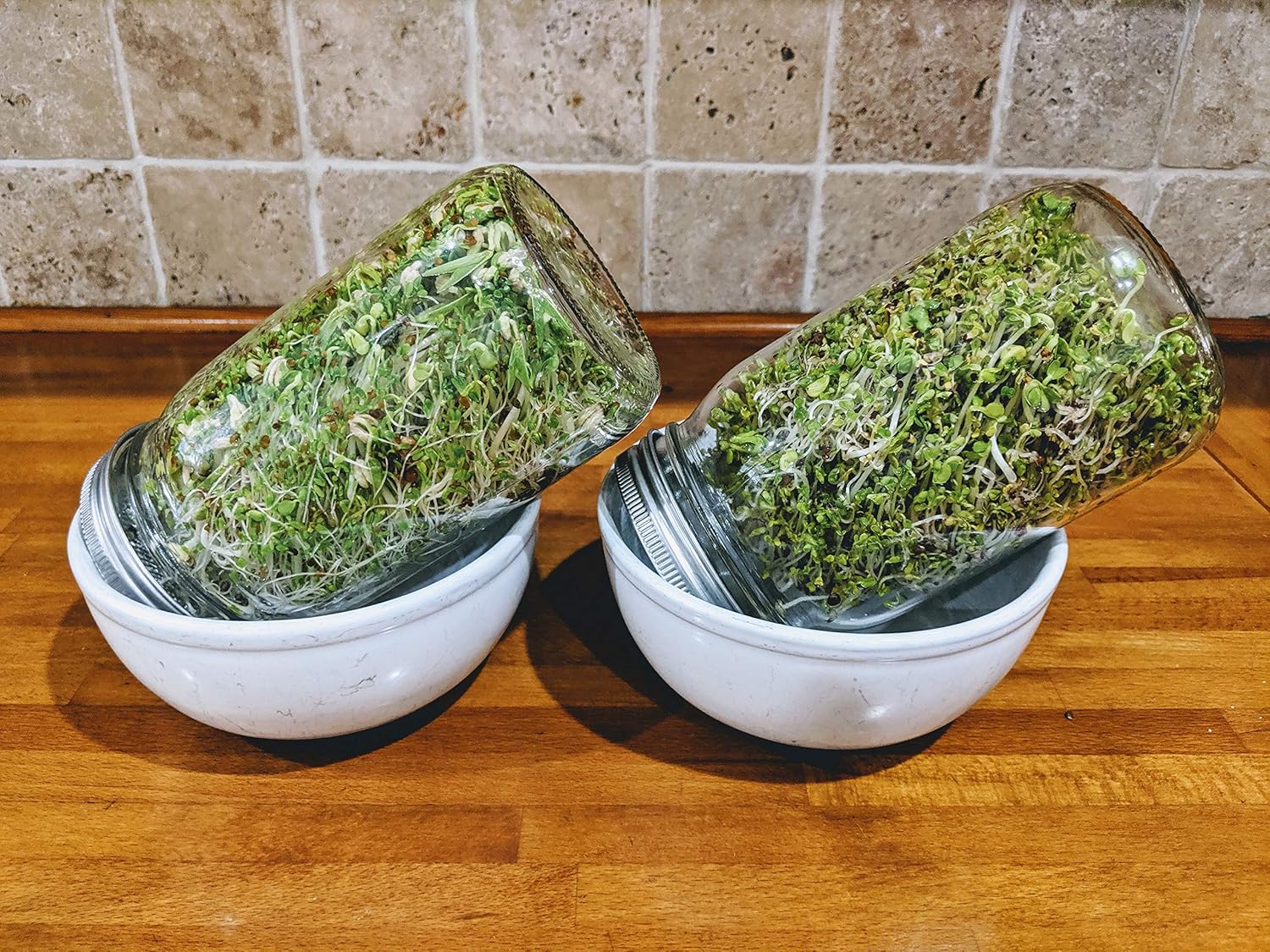 NATURAL ROOTS Sprouting Jar with Screen Lid - 316 Stainless Steel 1