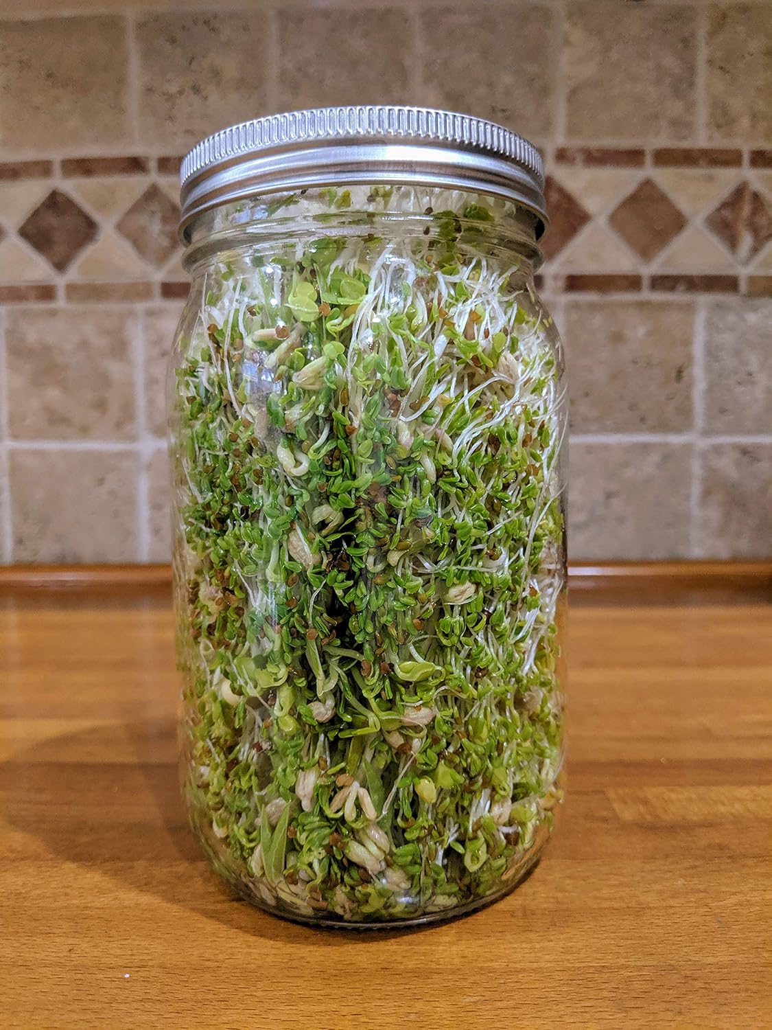 NATURAL ROOTS Sprouting Jar with Screen Lid - 316 Stainless Steel 1