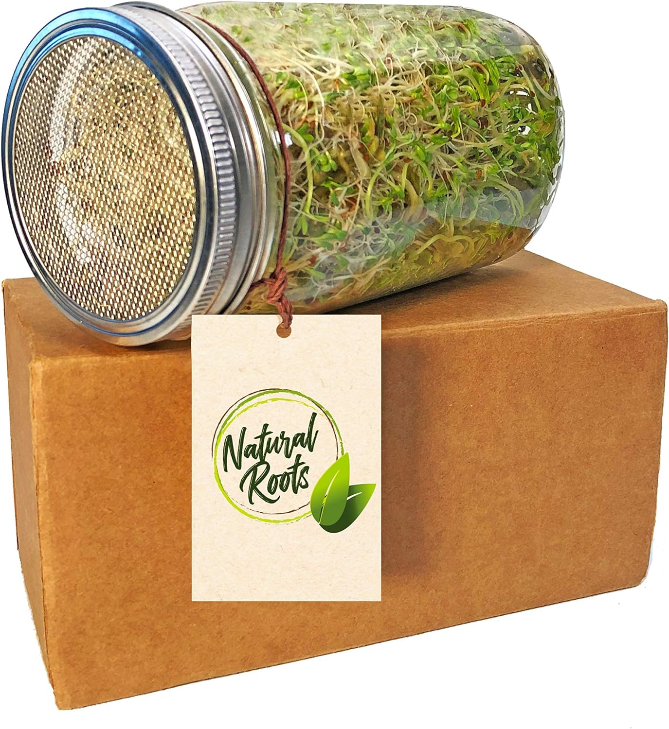 NATURAL ROOTS Sprouting Jar with Screen Lid - 316 Stainless Steel 1